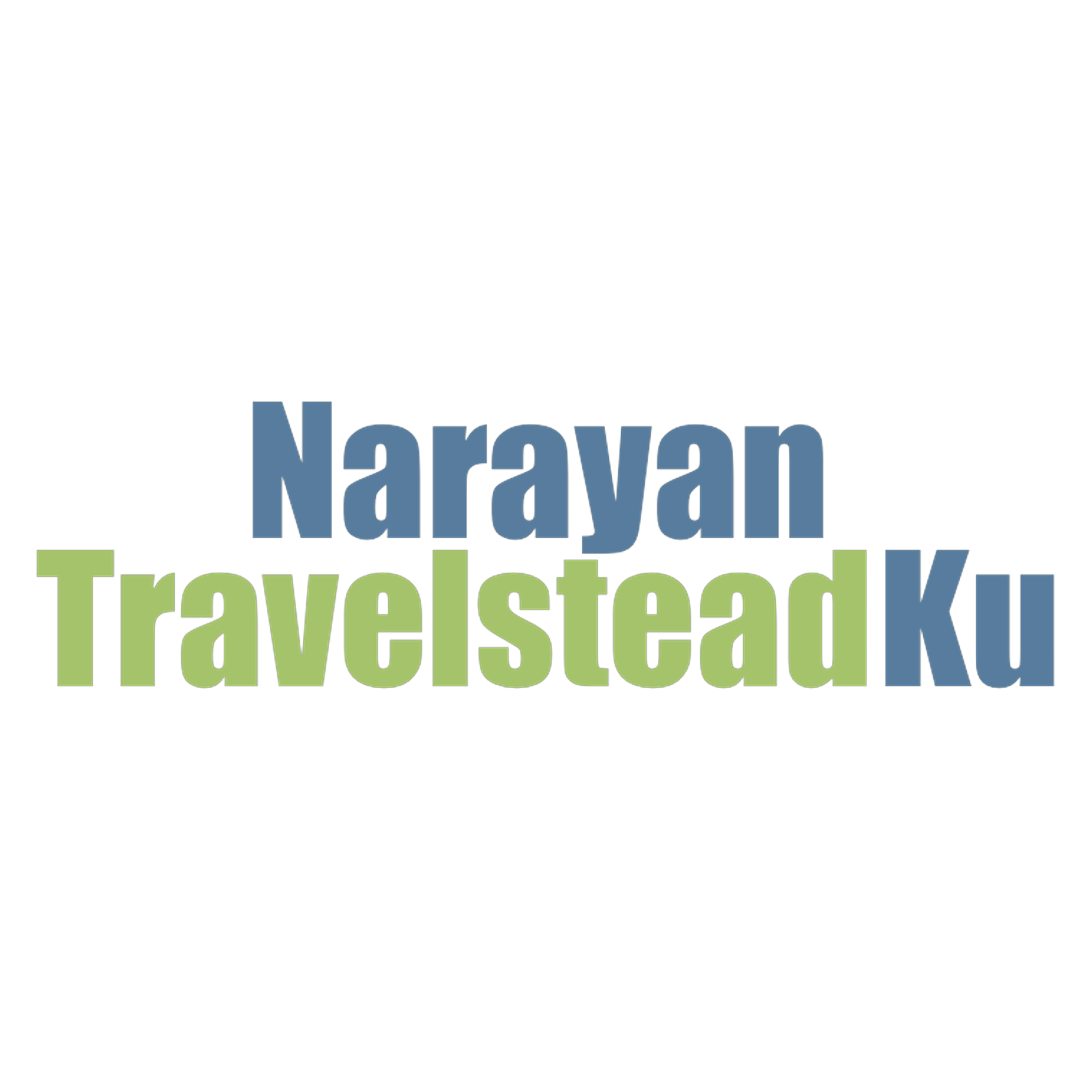 Narayan Travelstead